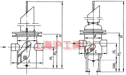 籃式過(guò)濾器主要外形及結(jié)構(gòu)尺寸示意圖