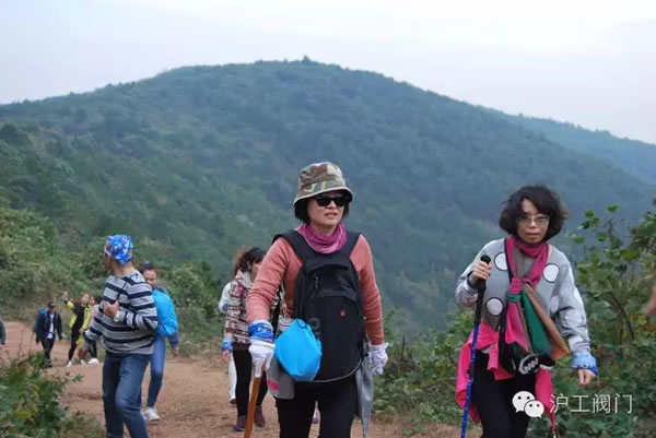 �Ϻ������y�T�S2016���＾ͽ�����л�� �D17