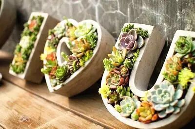 華亭鎮(zhèn)團(tuán)委聯(lián)合上海滬工閥門廠開展微景觀綠植DIY活動(圖1)