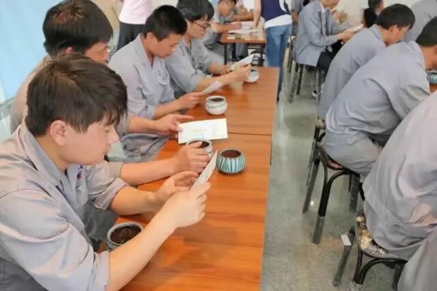 華亭鎮(zhèn)團(tuán)委聯(lián)合上海滬工閥門廠開展微景觀綠植DIY活動(圖3)