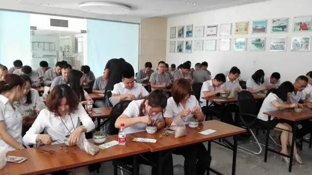 華亭鎮(zhèn)團(tuán)委聯(lián)合上海滬工閥門廠開展微景觀綠植DIY活動(圖4)