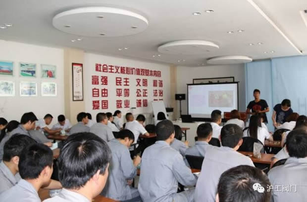 華亭鎮(zhèn)團(tuán)委聯(lián)合上海滬工閥門廠開展微景觀綠植DIY活動(圖6)