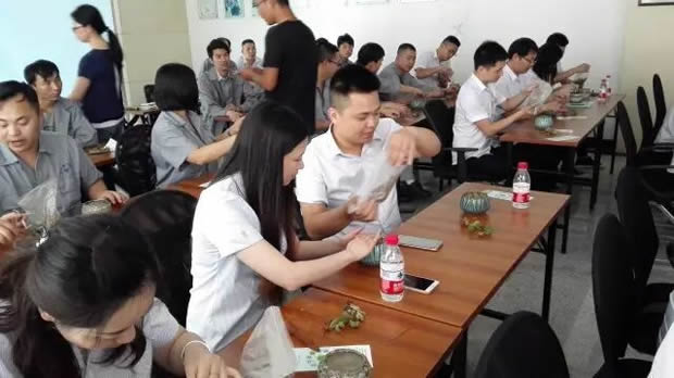 華亭鎮(zhèn)團(tuán)委聯(lián)合上海滬工閥門廠開展微景觀綠植DIY活動(圖7)