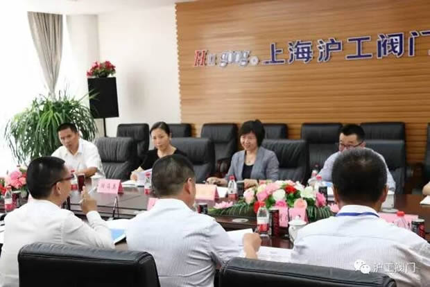 嘉定區(qū)副區(qū)長(zhǎng)陸祖芳等領(lǐng)導(dǎo)一行蒞臨我公司視察指導(dǎo)工作(圖2)