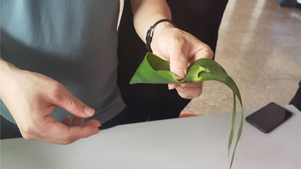 2021年上海滬工閥門廠端午節包粽子活動(圖2)